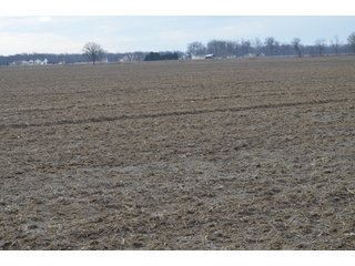 Property photo 50 - 173 +/- Acres Offered in 3 Tracts - Ohio Farmland